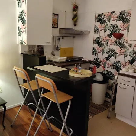 아파트 Gezellig 1e Etage 바세나르
